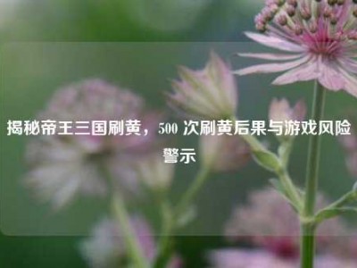 揭秘帝王三国刷黄，500 次刷黄后果与游戏风险警示