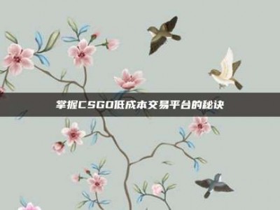 掌握CSGO低成本交易平台的秘诀