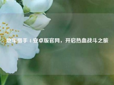 地牢猎手 4 安卓版官网，开启热血战斗之旅