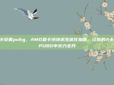 a卡设置pubg，AMD显卡绝地求生优化指南，让你的A卡在PUBG中火力全开