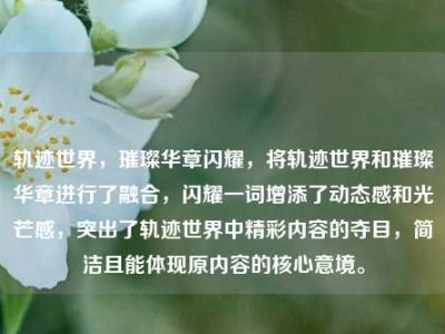 轨迹世界，璀璨华章闪耀，将轨迹世界和璀璨华章进行了融合，闪耀一词增添了动态感和光芒感，突出了轨迹世界中精彩内容的夺目，简洁且能体现原内容的核心意境。