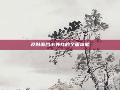 及时雨合击外挂的全面攻略