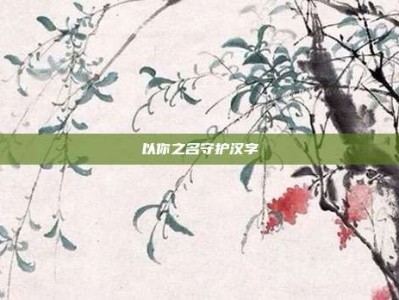 以你之名守护汉字