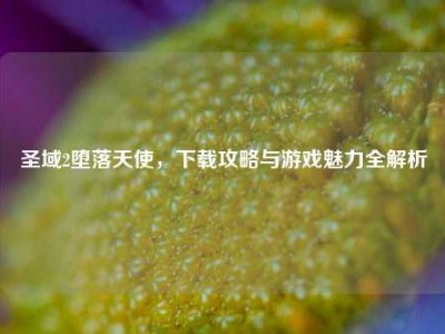 圣域2堕落天使，下载攻略与游戏魅力全解析