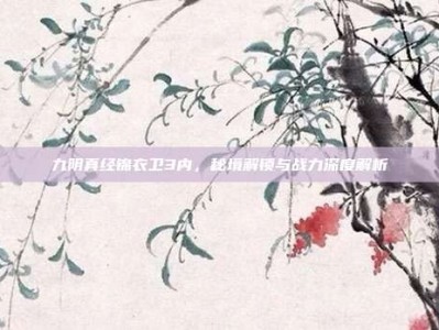 九阴真经锦衣卫3内，秘境解锁与战力深度解析
