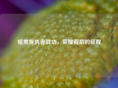 暗黑复仇者战功，荣耀背后的征程
