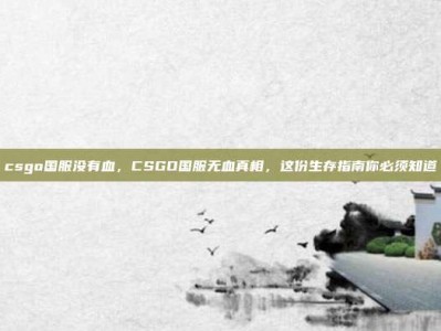 csgo国服没有血，CSGO国服无血真相，这份生存指南你必须知道