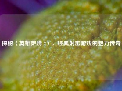 探秘〈英雄萨姆 2〉，经典射击游戏的魅力传奇