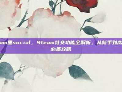 steam里social，Steam社交功能全解析，从新手到高手的必备攻略
