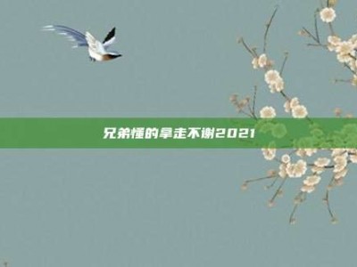 兄弟懂的拿走不谢2021
