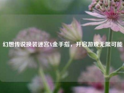 幻想传说换装迷宫X金手指，开启游戏无限可能