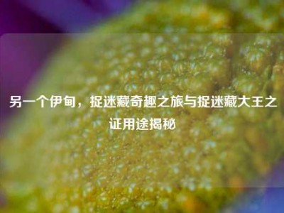 另一个伊甸，捉迷藏奇趣之旅与捉迷藏大王之证用途揭秘