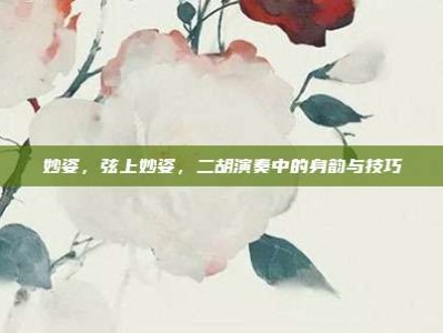 妙姿，弦上妙姿，二胡演奏中的身韵与技巧