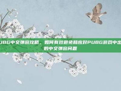 PUBG中文弹窗攻略，如何有效避免和应对PUBG游戏中出现的中文弹窗问题
