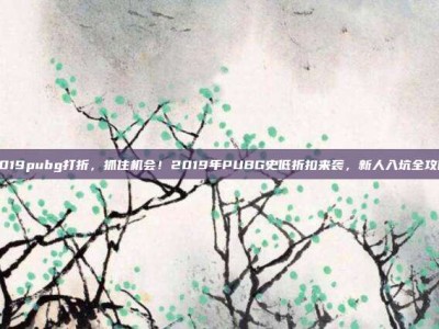 2019pubg打折，抓住机会！2019年PUBG史低折扣来袭，新人入坑全攻略
