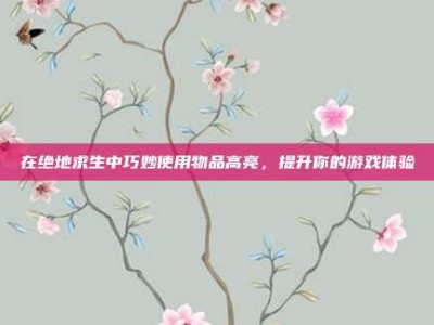 在绝地求生中巧妙使用物品高亮，提升你的游戏体验