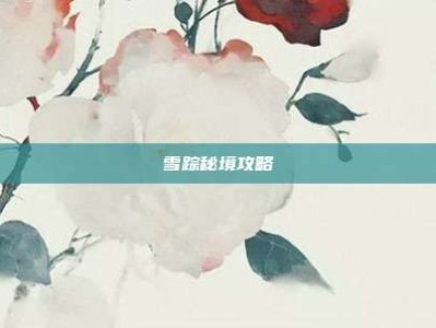 雪踪秘境攻略
