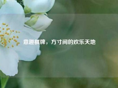 意趣棋牌，方寸间的欢乐天地