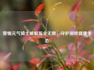警惕元气骑士破解版全无限，守护游戏健康生态