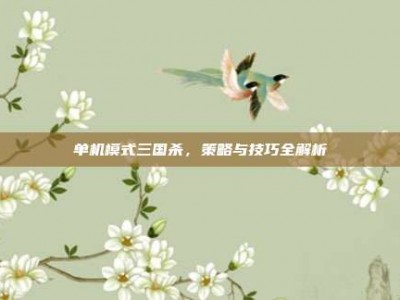 单机模式三国杀，策略与技巧全解析