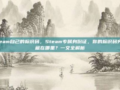 steam自己的标识码，Steam专属身份证，你的标识码究竟藏在哪里？一文全解析