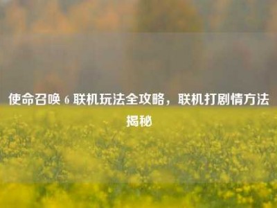 使命召唤 6 联机玩法全攻略，联机打剧情方法揭秘