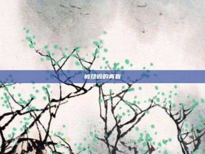 被烧毁的青春