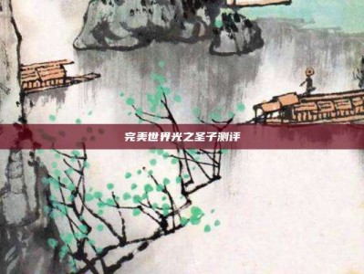 完美世界光之圣子测评