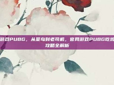 官网游戏PUBG，从菜鸟到老司机，官网游戏PUBG吃鸡进阶攻略全解析