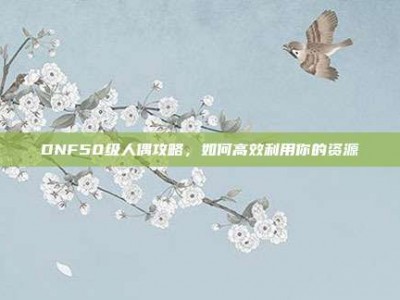 DNF50级人偶攻略，如何高效利用你的资源