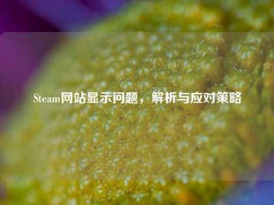 Steam网站显示问题，解析与应对策略