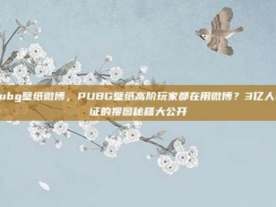 pubg壁纸微博，PUBG壁纸高阶玩家都在用微博？3亿人验证的搜图秘籍大公开