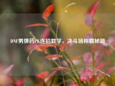 DNF男弹药PK连招教学，决斗场称霸秘籍