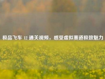 极品飞车 12 通关视频，感受虚拟赛道极致魅力