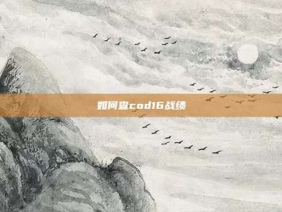 如何查cod16战绩