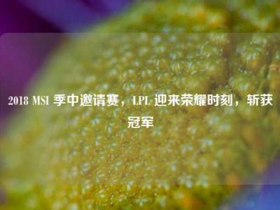 2018 MSI 季中邀请赛，LPL 迎来荣耀时刻，斩获冠军