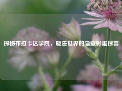 探秘布拉卡达学院，魔法世界的隐藏彩蛋惊喜