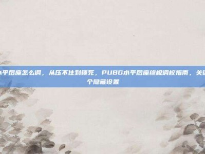 pubg水平后座怎么调，从压不住到锁死，PUBG水平后座终极调校指南，关键在于这个隐藏设置