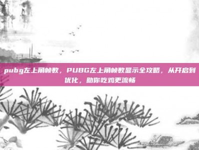 pubg左上角帧数，PUBG左上角帧数显示全攻略，从开启到优化，助你吃鸡更流畅