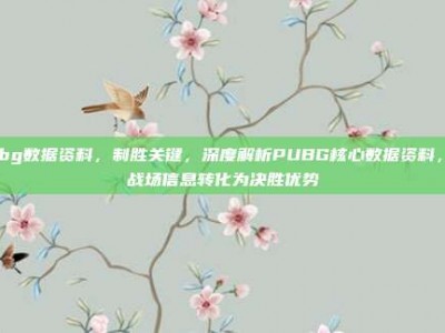 pubg数据资料，制胜关键，深度解析PUBG核心数据资料，将战场信息转化为决胜优势