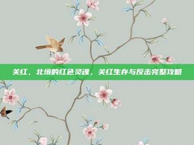 关红，北境的红色灵魂，关红生存与反击完整攻略