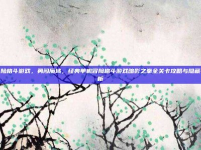 单机冒险格斗游戏，勇闯魔域，经典单机冒险格斗游戏暗影之拳全关卡攻略与隐藏要素解析