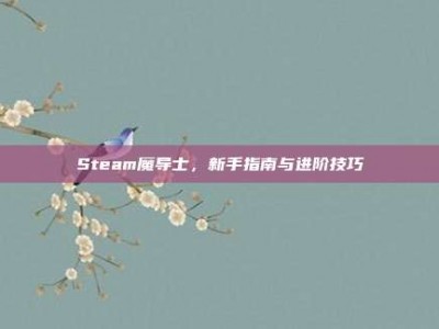 Steam魔导士，新手指南与进阶技巧