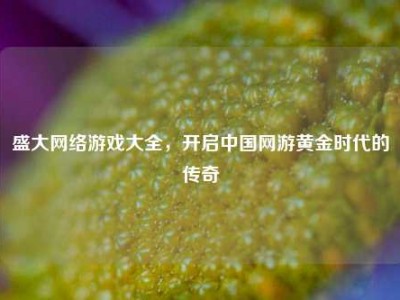 盛大网络游戏大全，开启中国网游黄金时代的传奇