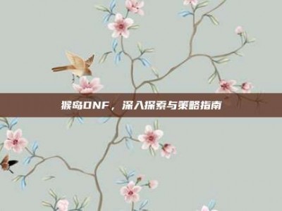 猴岛DNF，深入探索与策略指南