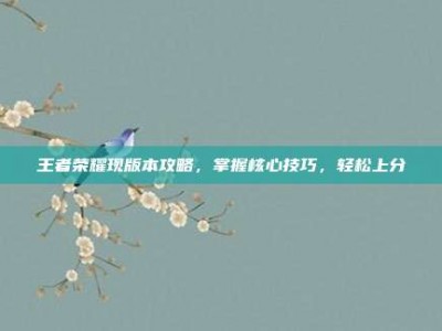 王者荣耀现版本攻略，掌握核心技巧，轻松上分