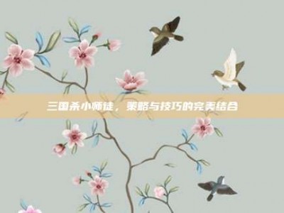 三国杀小师徒，策略与技巧的完美结合