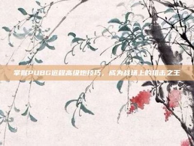 掌握PUBG远程高级炮技巧，成为战场上的狙击之王
