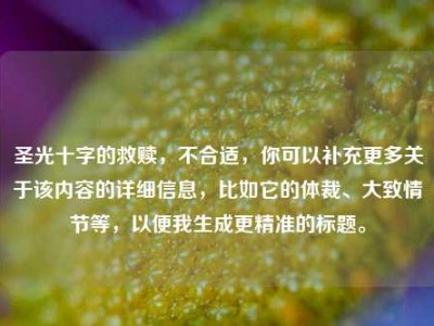 圣光十字的救赎，不合适，你可以补充更多关于该内容的详细信息，比如它的体裁、大致情节等，以便我生成更精准的标题。