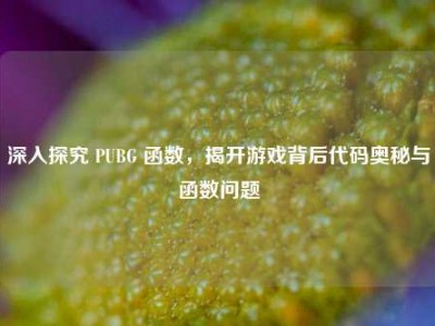 深入探究 PUBG 函数，揭开游戏背后代码奥秘与函数问题